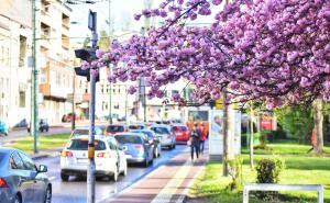 Proljeće kuca na vrata: Meteorolog Krajinović najavio kakvo će vrijeme biti u narednim mjesecima